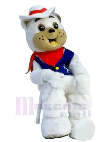 bär maskottchen kostüm