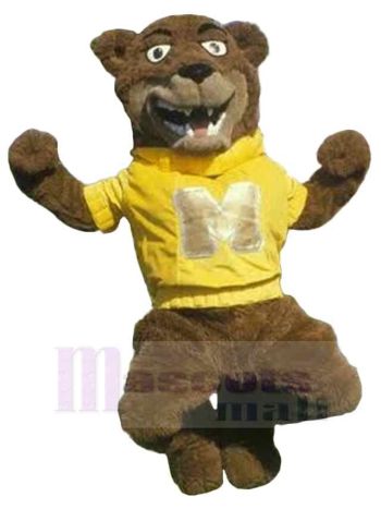 bär maskottchen kostüm