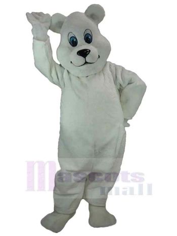 bär maskottchen kostüm