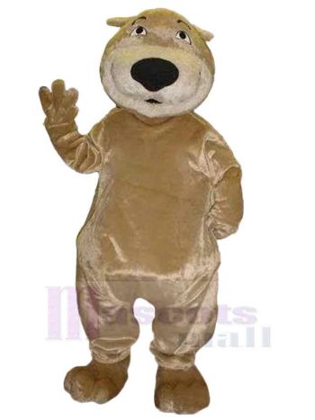 bär maskottchen kostüm