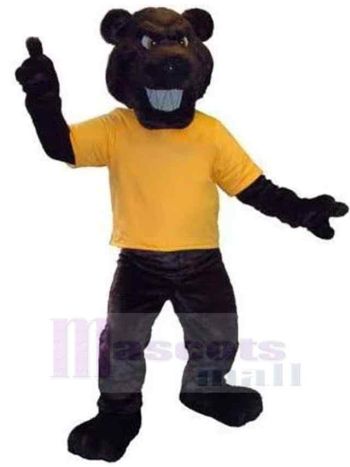 bär maskottchen kostüm