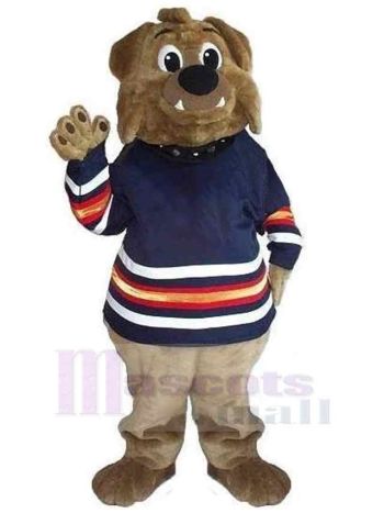 bär maskottchen kostüm