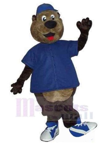 bär maskottchen kostüm