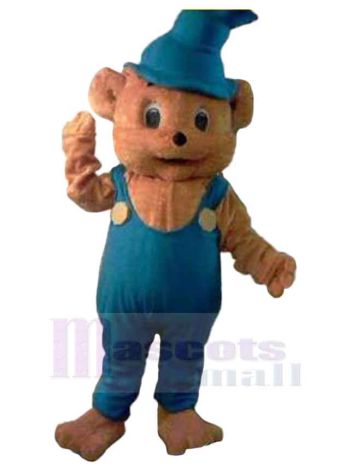bär maskottchen kostüm