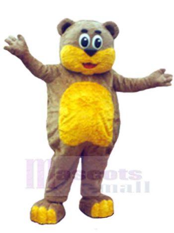bär maskottchen kostüm