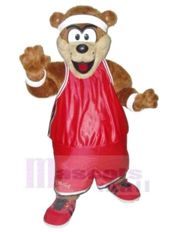bär maskottchen kostüm