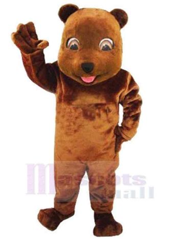 bär maskottchen kostüm