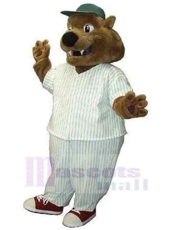 bär maskottchen kostüm