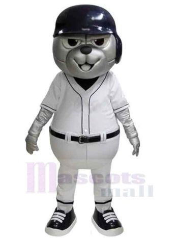 bär maskottchen kostüm