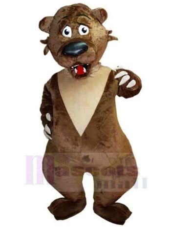 bär maskottchen kostüm
