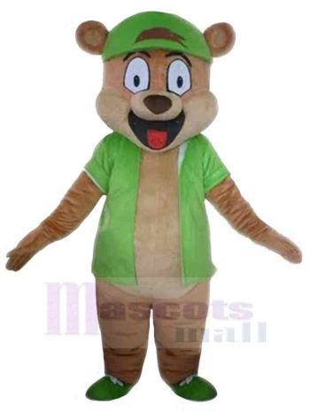 bär maskottchen kostüm