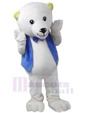bär maskottchen kostüm