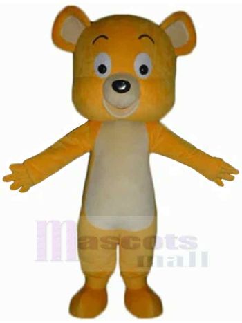 bär maskottchen kostüm