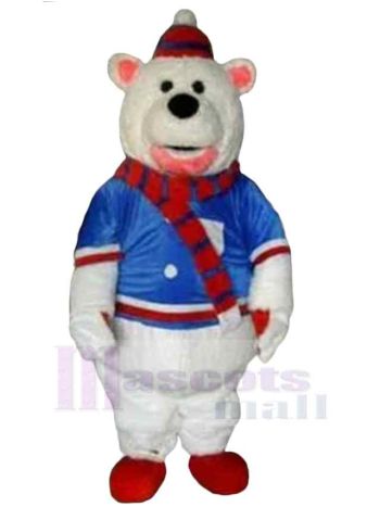 bär maskottchen kostüm