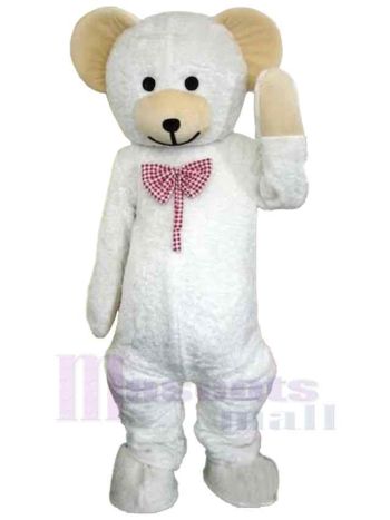 bär maskottchen kostüm