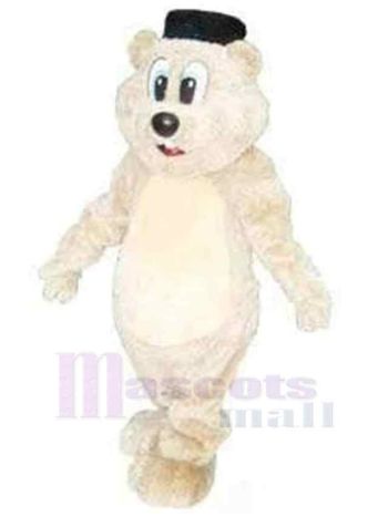 bär maskottchen kostüm