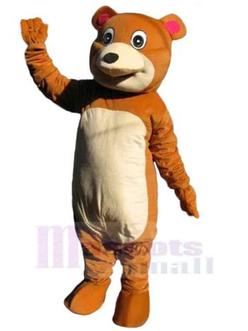 bär maskottchen kostüm