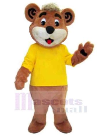 bär maskottchen kostüm