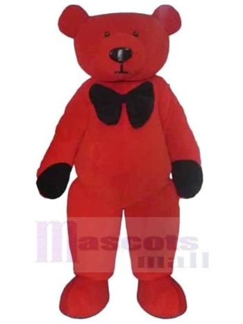 bär maskottchen kostüm