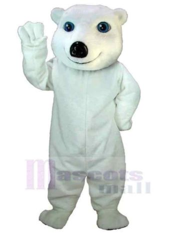 bär maskottchen kostüm