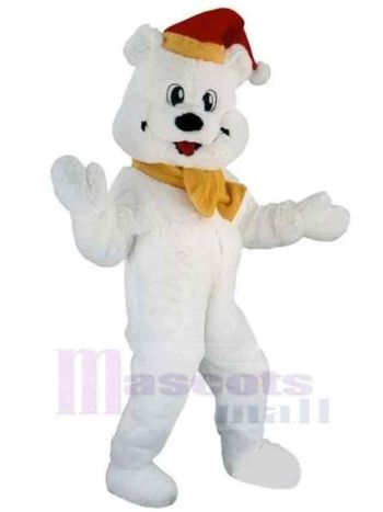 bär maskottchen kostüm