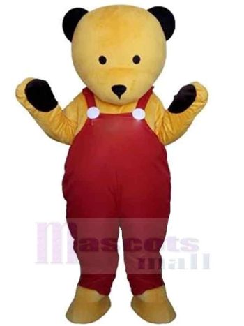 bär maskottchen kostüm
