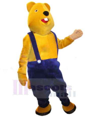 bär maskottchen kostüm