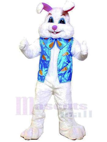 Hase maskottchen kostüm