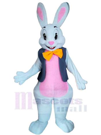 Hase maskottchen kostüm