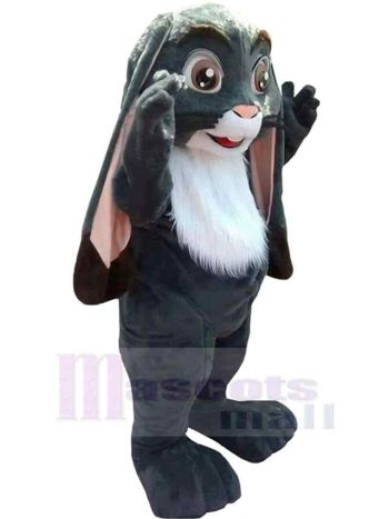 Hase maskottchen kostüm