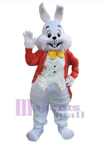 Osterhase Kaninchen Maskottchenkostüm