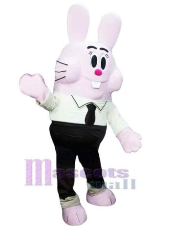 Osterhase Kaninchen Maskottchenkostüm