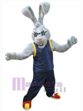 Osterhase Kaninchen Maskottchenkostüm