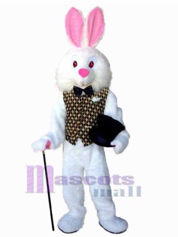 Osterhase Kaninchen Maskottchenkostüm