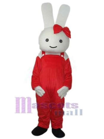 Osterhase Kaninchen Maskottchenkostüm