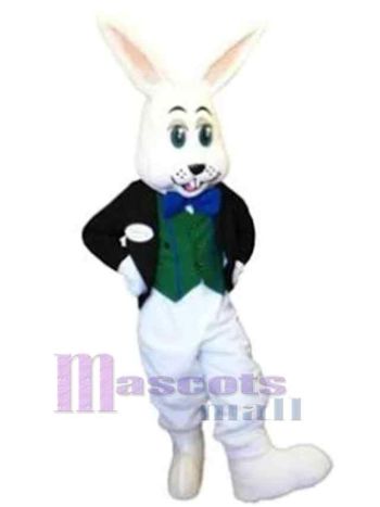 Osterhase Kaninchen Maskottchenkostüm