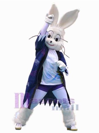 Osterhase Kaninchen Maskottchenkostüm