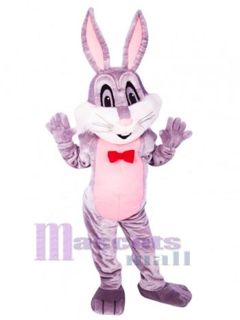 Osterhase Kaninchen Maskottchenkostüm