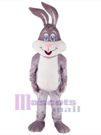 Osterhase Kaninchen Maskottchenkostüm