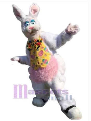 Osterhase Kaninchen Maskottchenkostüm