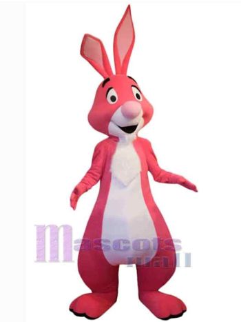Osterhase Kaninchen Maskottchenkostüm