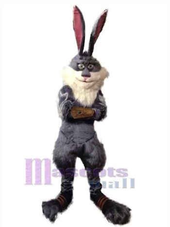 Osterhase Kaninchen Maskottchenkostüm