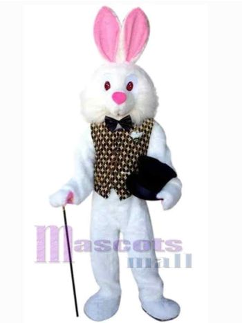 Osterhase Kaninchen Maskottchenkostüm