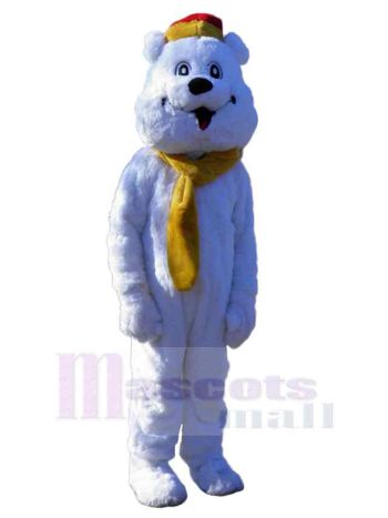 bär maskottchen kostüm