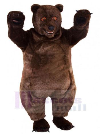 bär maskottchen kostüm