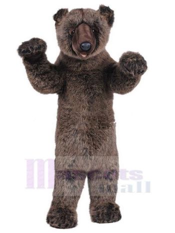 bär maskottchen kostüm