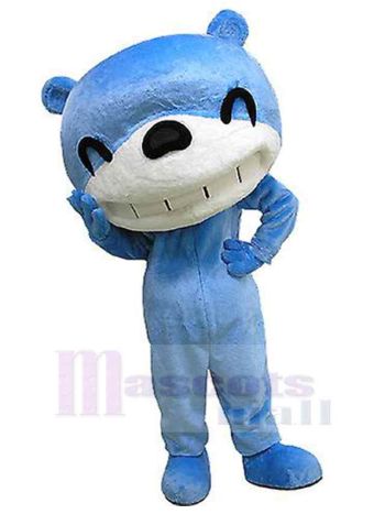 bär maskottchen kostüm