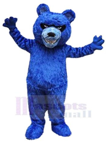 bär maskottchen kostüm