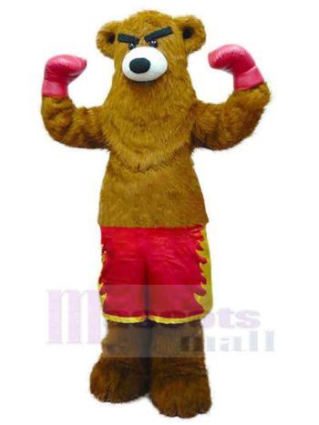 bär maskottchen kostüm
