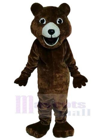 bär maskottchen kostüm